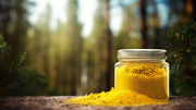 How Pine Pollen Balances Hormones and Supports Prostate Health